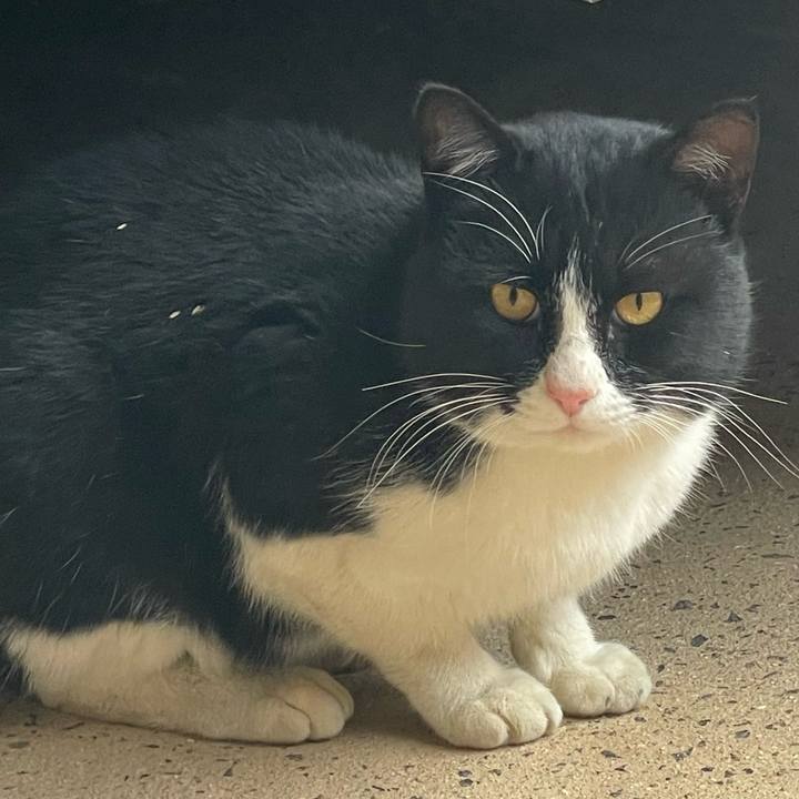 761ab390 df99 4f66 9ad9 1e42cd9feed6 1770464590492