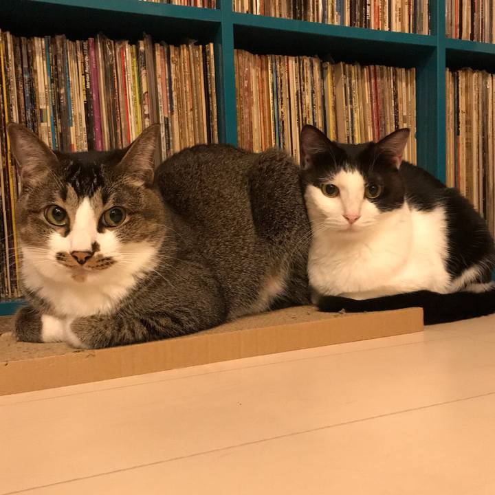 761ad6f2 f9df 4126 8882 19d126be41b4 1559657682753