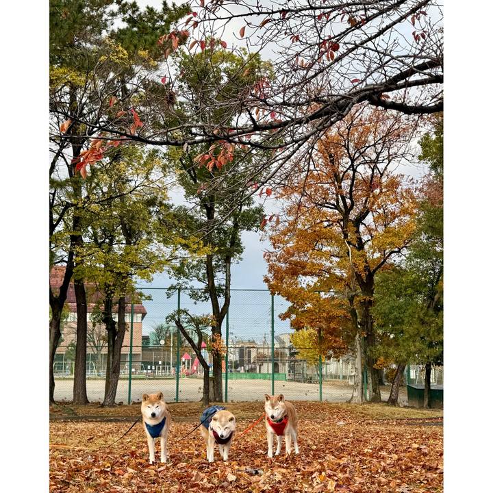 761ae716 ddf7 49f8 af16 f4555b68b808 1764948150809