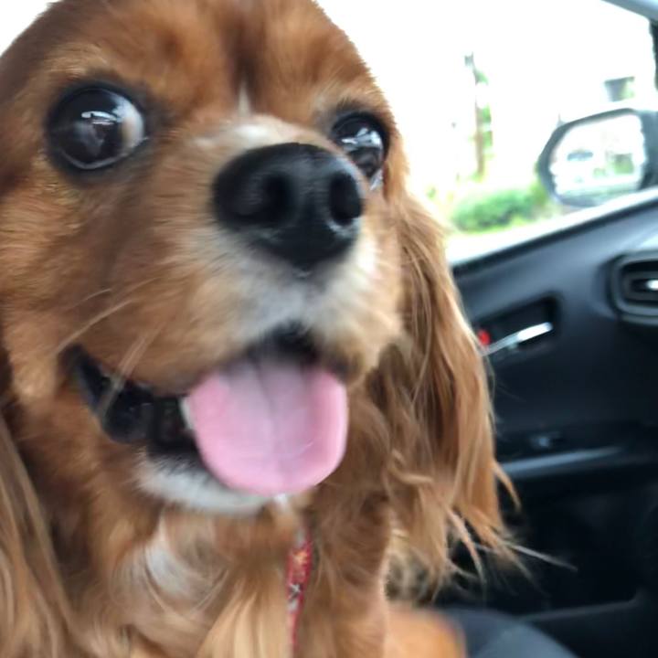 761b04aa c1bd 41ef 8262 eccf8ff2fa26 1592013262712