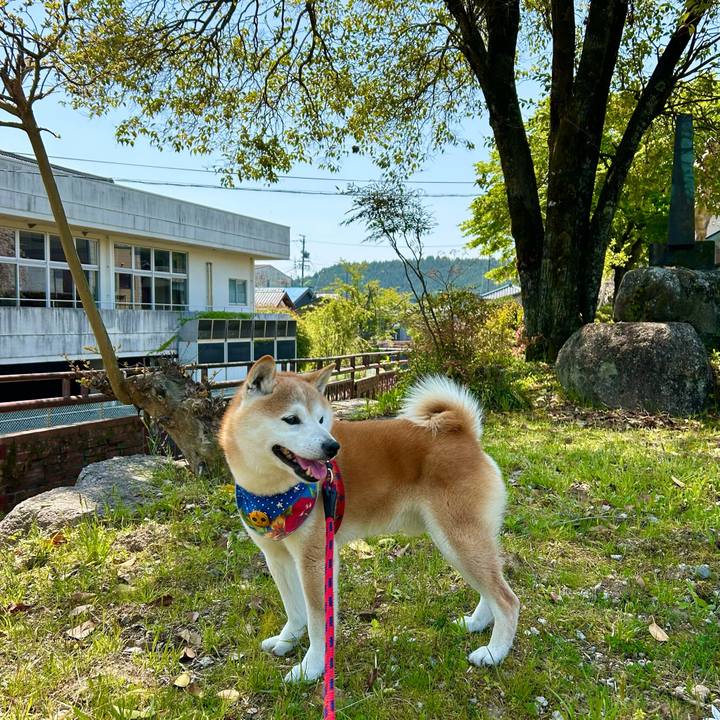 761b2c32 fbdb 4811 aa4f 40325bfebd26 1745752516314