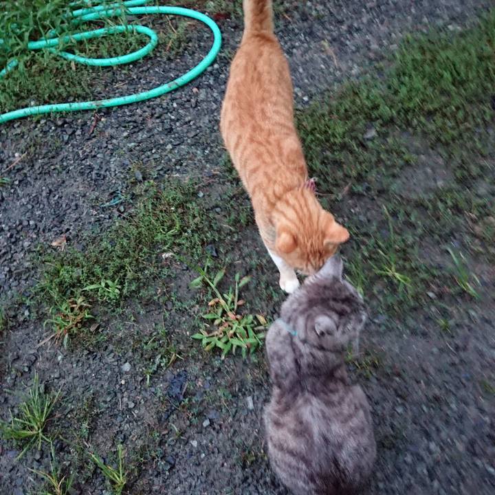 761b31a9 4b03 4e66 a7d4 6c16f21c0208 1566985020023