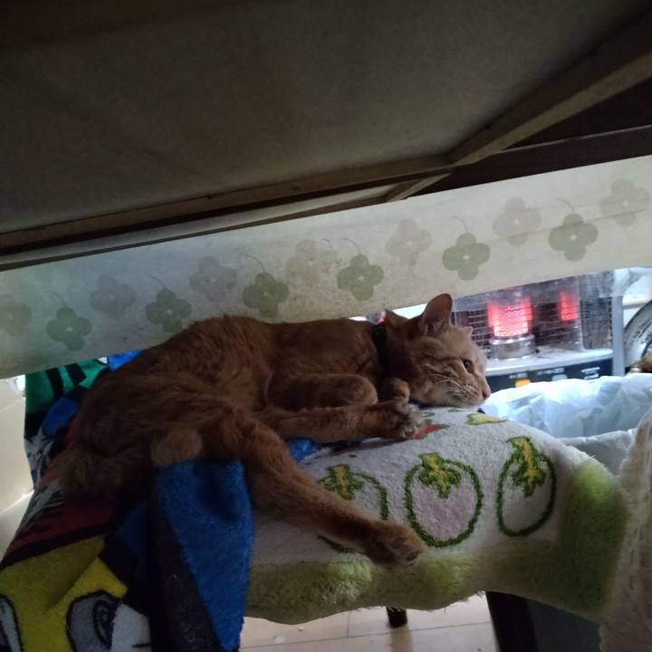 761bbd38 dd21 4ea2 946a 3c1a3a291493 1666310371067