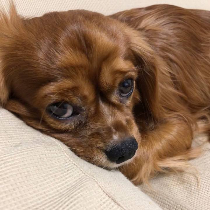 761bc776 d3ee 4420 b4c2 4114ca0afc85 1545306605873