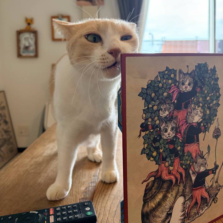 761c0140 55c7 4e15 ac70 69a84fe9c9fa 1768094641300