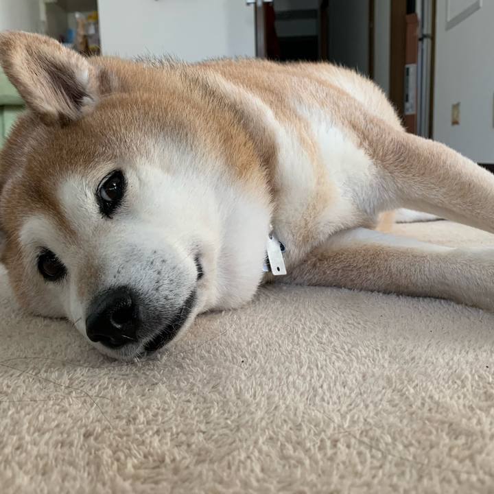 761c2096 a75e 4326 953b 172ef2328fd8 1588305097006