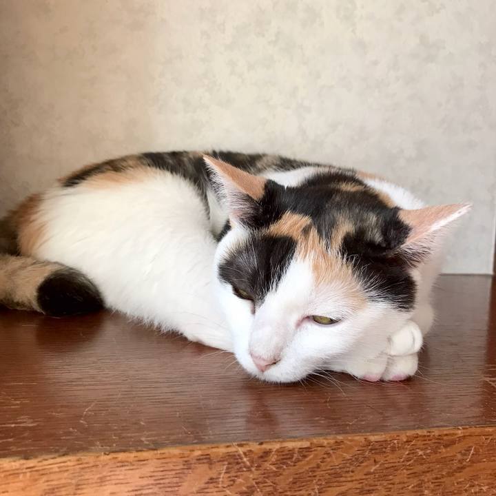 761c2207 ffb8 4930 a077 a12191776064 1534038746059