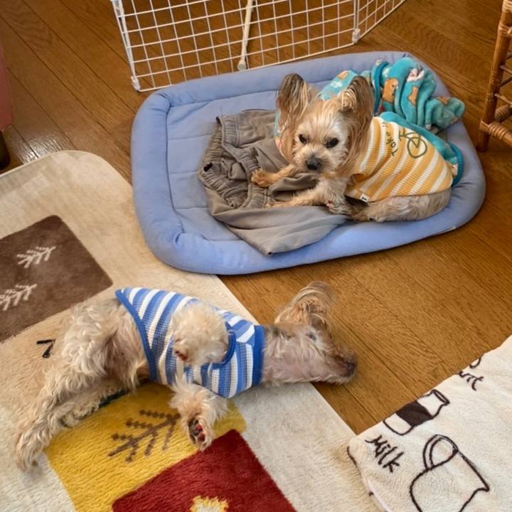 761c5edc f51a 47c7 8006 296c868e2626 1648548389576