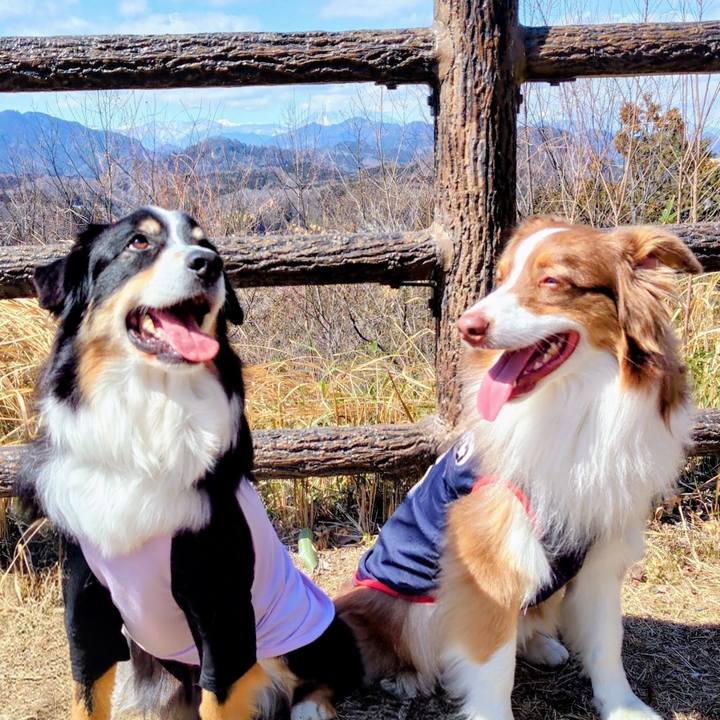 761c8924 558a 4530 9c6b 0c460608aece 1768994251467