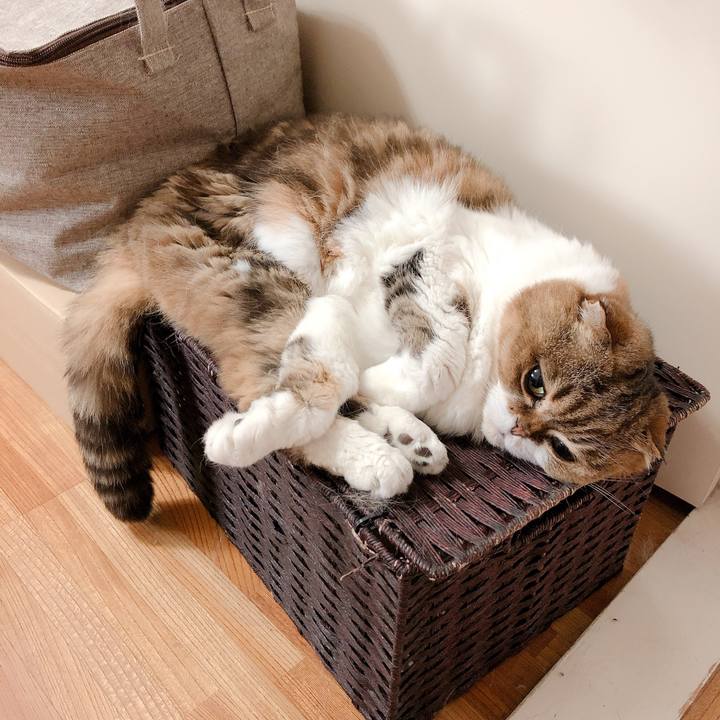 761ca39c 2aea 41e7 a2f7 63351408f63d 1561782569039