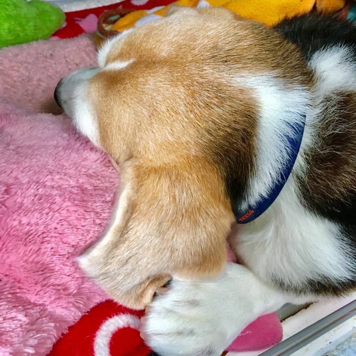 761cb2ab 7e31 48b4 8d76 d118ec77103a 1544067254736