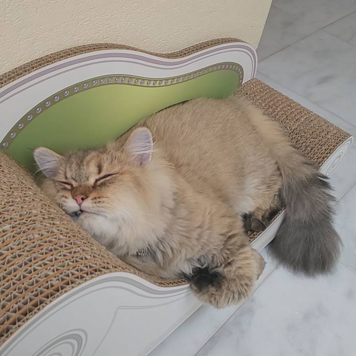 761cc96a 9fe3 4133 b26e 820fcbdc1ccb 1570601515120