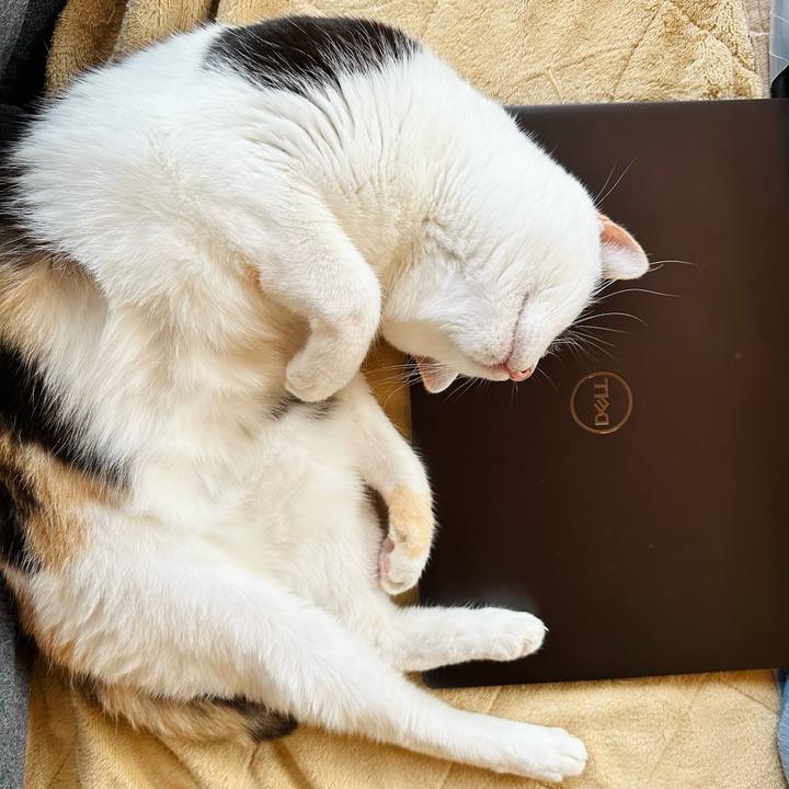 761ced43 d427 4a5e a0c0 5170b5194265 1699753342553