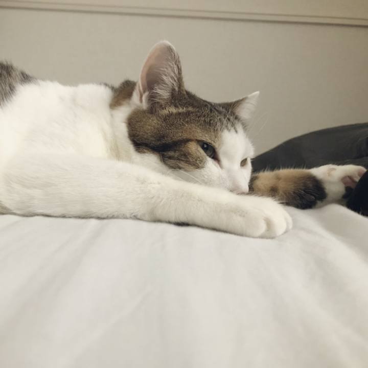 761d101d c88a 4fd5 b3f8 582082494a58 1538385040088