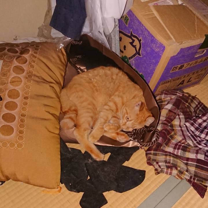 761d5bc3 e8ef 4bea 91b9 0f6cd65ebec5 1660727745469