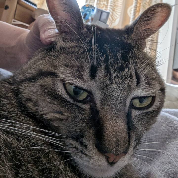 761d6e50 eb6e 4ee1 b7ad 4507621d6ef4 1753936567250