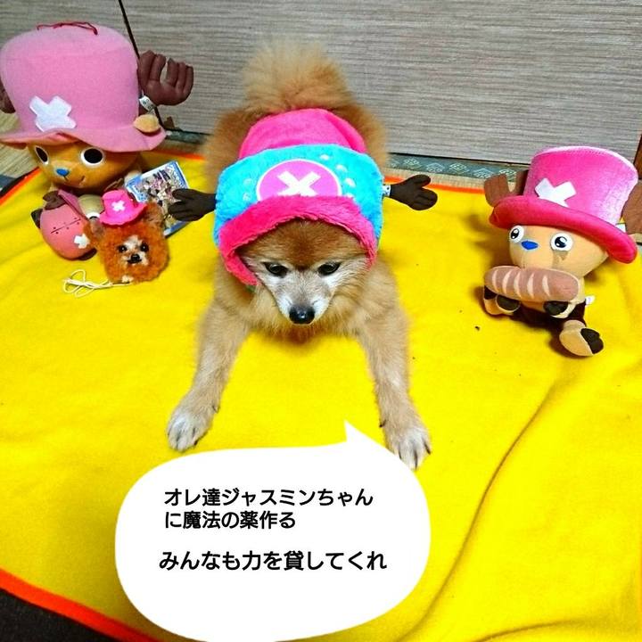 761d8709 1060 4650 bef6 206924d4a457 1509748708659