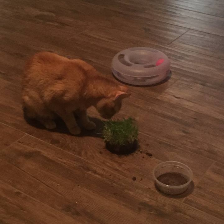 761da089 aad5 4ac1 b4f1 c85ca71bf20d 1660265633030