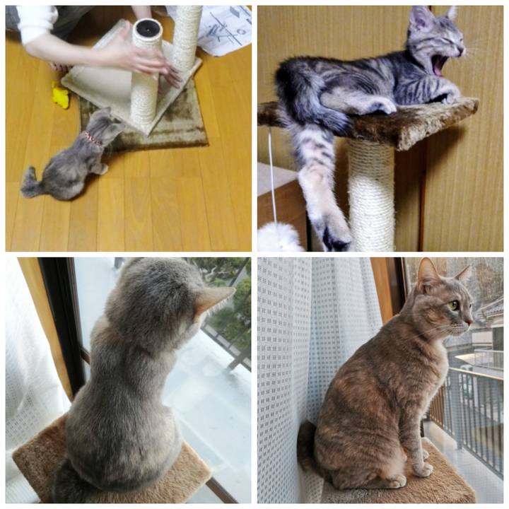 761dbc2c 9591 4d52 8cc1 c83413026c40 1622190084982