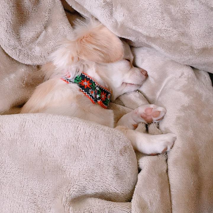 761dbe84 b7da 4af0 9b43 4a5913483ac5 1628989620844