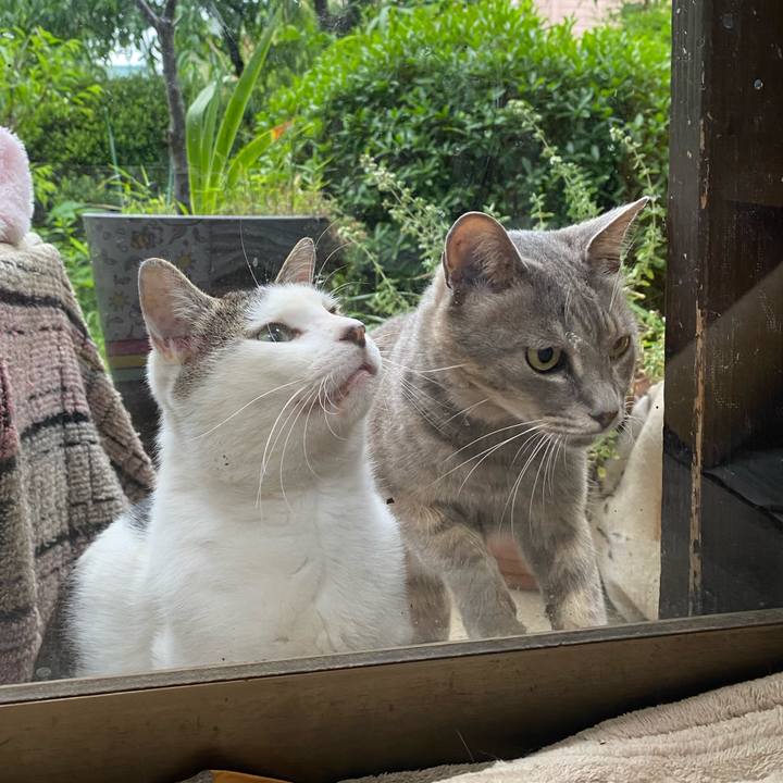 761dc54d 7804 445d 813a fc94c4363865 1592125122933