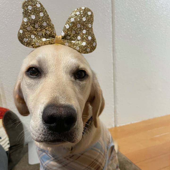 761dde1e b46f 4202 9b73 64aa5ce0581f 1620993249130