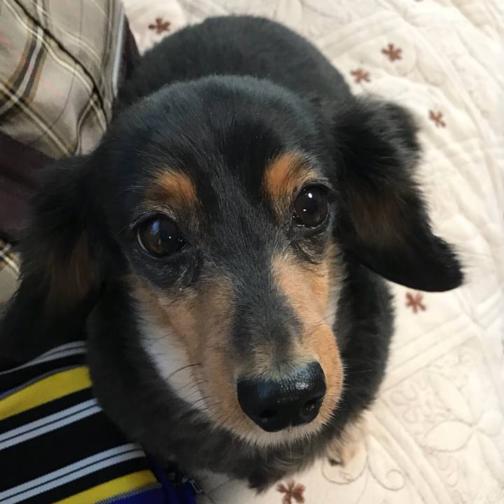 761e010e 015f 483d 8957 b48748bfa20f 1510523430148