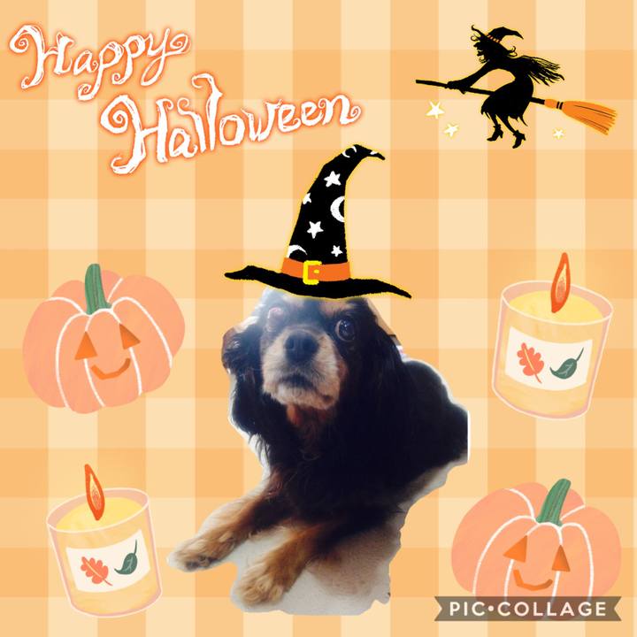 761e046b 734b 4c79 afd5 af5359b2749a 1603876902604