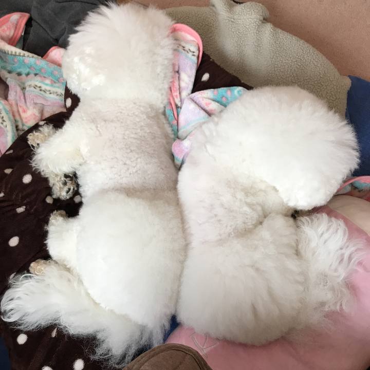 761e1f44 43e2 46de 8f59 d3b681aa8d57 1552533656673