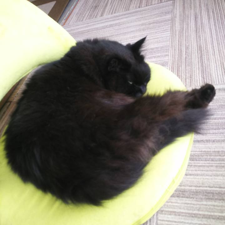 761e98d0 9b7b 43ce 97cd 709e4f35f458 1560469631074