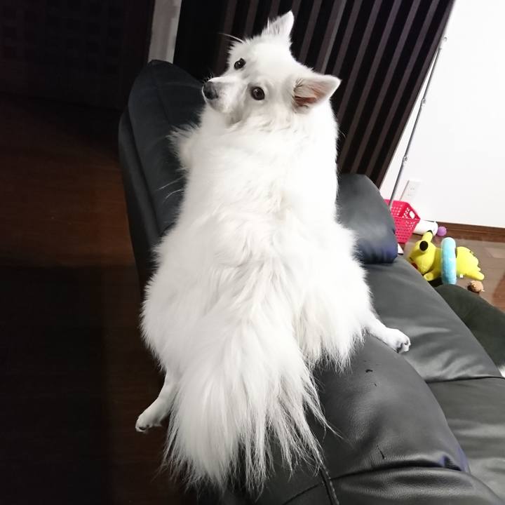 761ebaff 4a60 4ed0 9018 4996e3a000c0 1547039425602