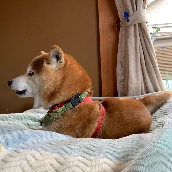 761ed121 c52b 4320 ae27 35edf0f7eb34 1613469921301