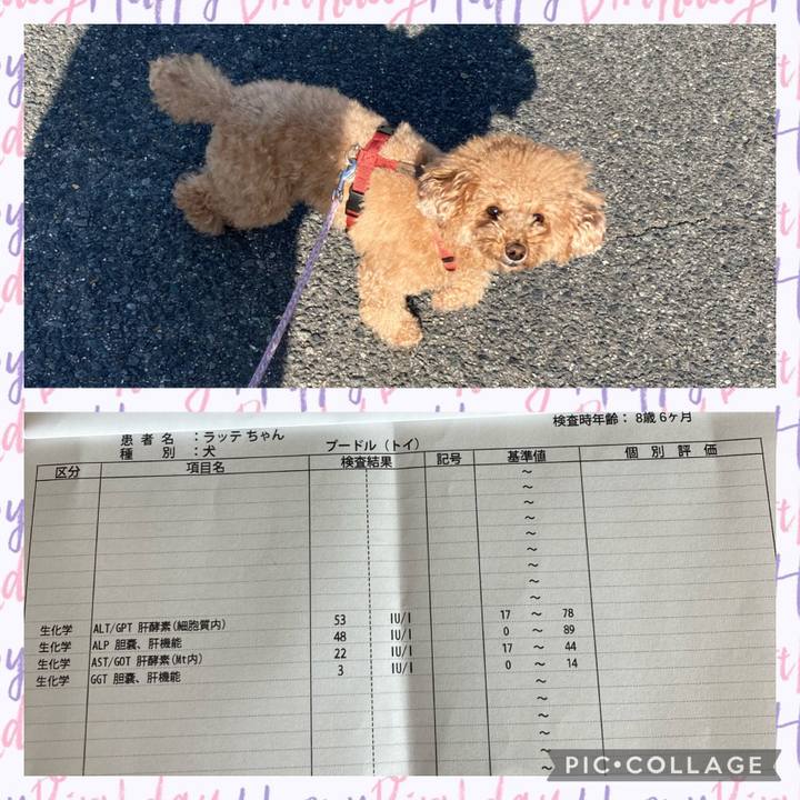 761ed3ff 6dba 4948 879d f2698caffc02 1636076187639