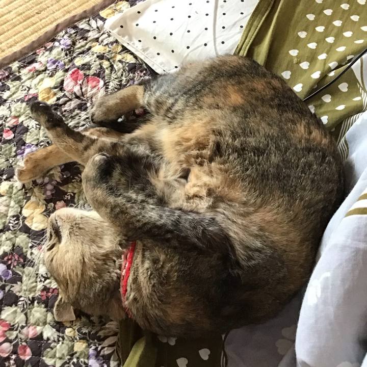 761ed45f 85d8 495d b81b f34bcefcc9b9 1680426205896