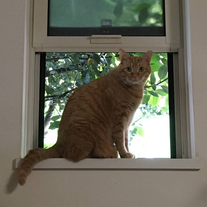 761ee21e ce4e 4a60 8c9e 1a34d3de8f0b 1592540997060