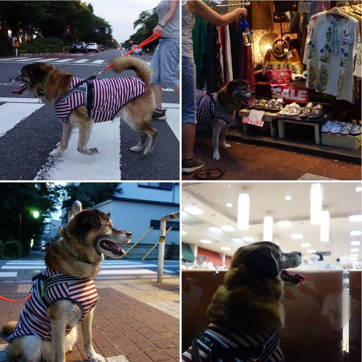 761f5e74 34e7 452c bd6e 05a43c1661b2 1531307121633