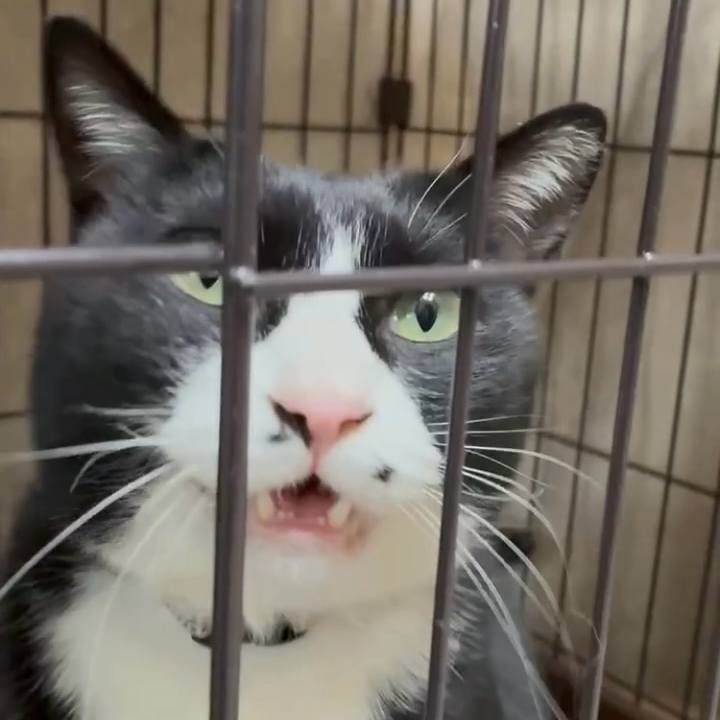 761f6780 e3cd 4586 9521 68323ea242f6 1744027046570