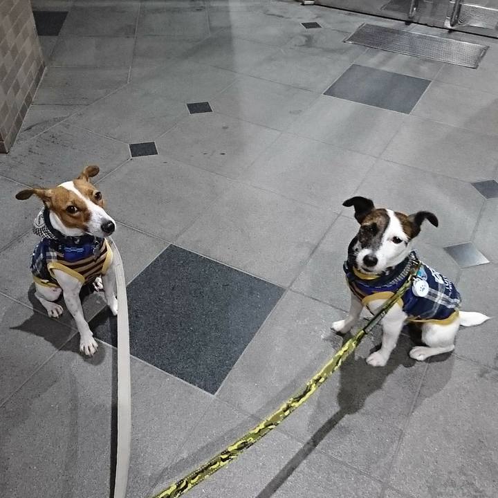 761fd980 47aa 4266 a2b9 0ee3fd1f1046 1538826053891