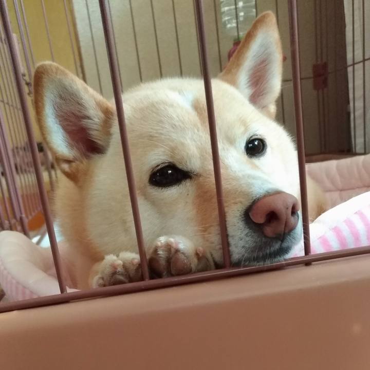 761fed0f bfe9 4bde 8c9e e178d2f01c84 1600775373493