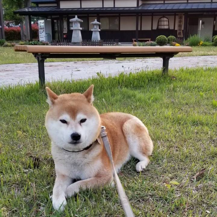 761ff91d 442e 4b9b 86b2 617e3f3e4b30 1526376231918