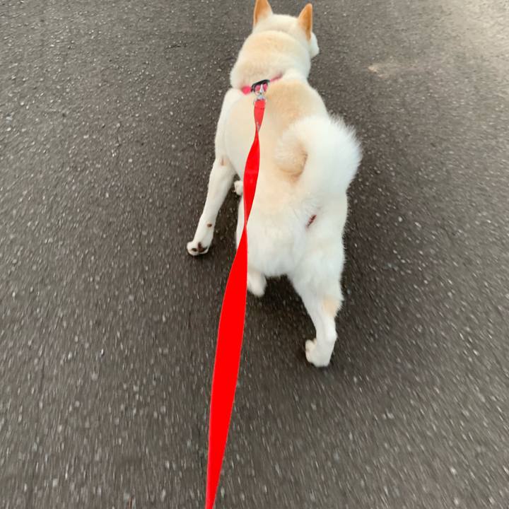 76200fde f8a3 4464 8786 ce42367583a5 1568064167307