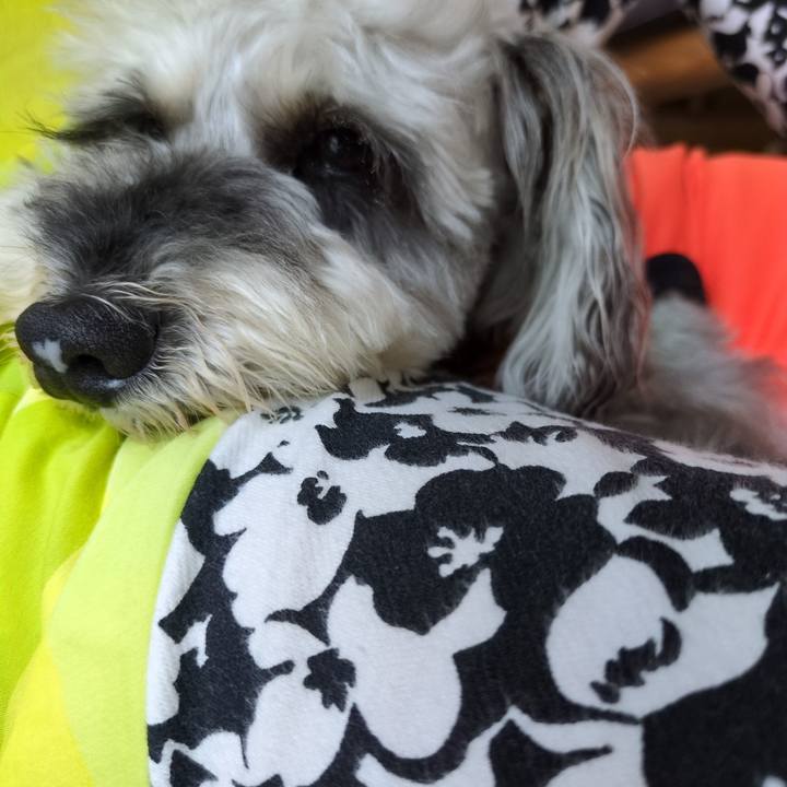 76203602 8b74 44e4 8862 c7f5be8762c6 1752711562355