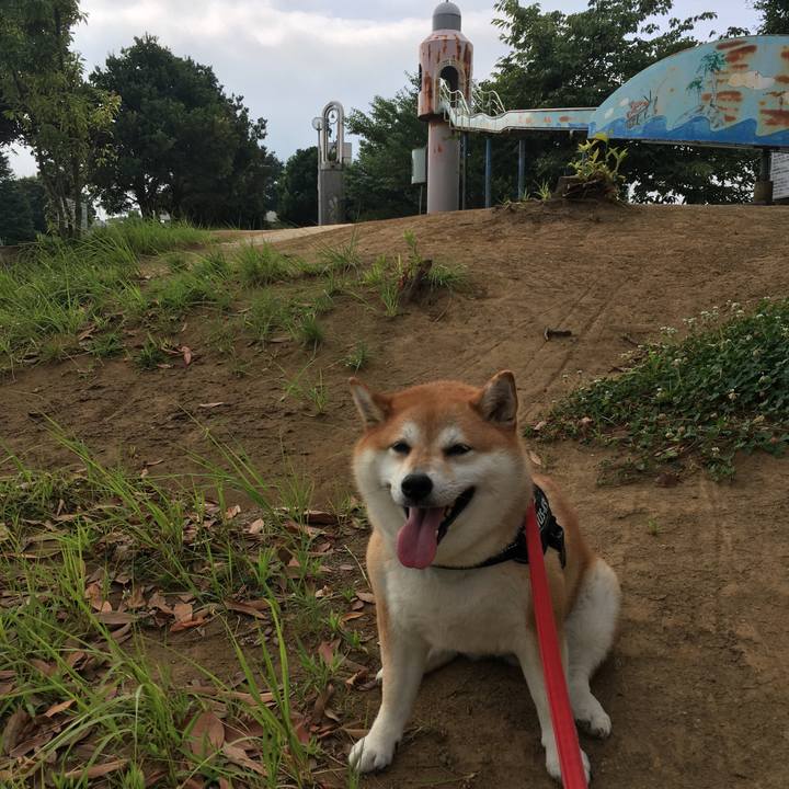 762051fd b8e6 4f5a a197 8a0e0cb5905c 1597450482798