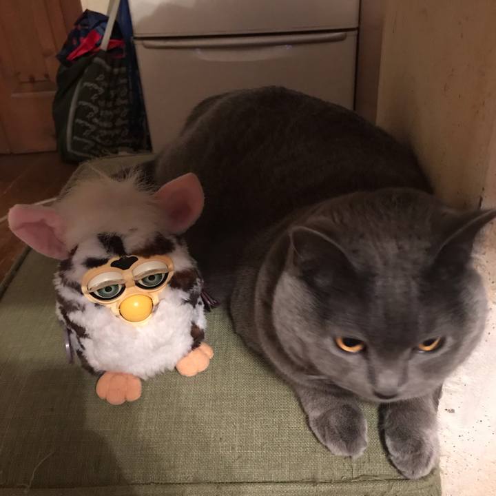 7620591c ac3b 4e17 aab1 562291ca3537 1552389085937