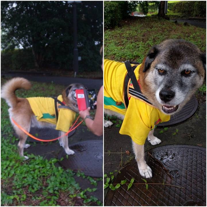 7620676a ede3 47f9 b994 a5773f717fae 1612228924050