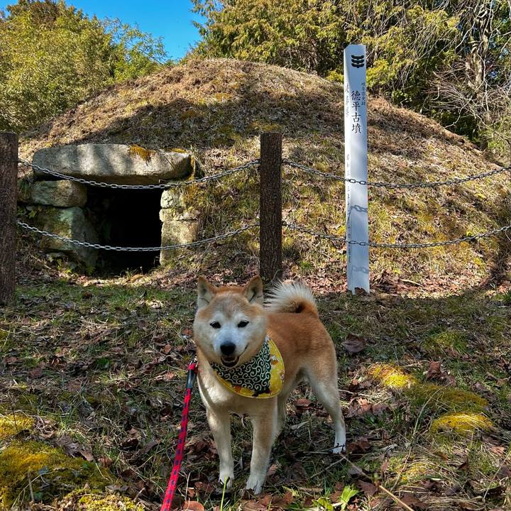 762068ae 874d 4e45 af3a c18f09e6694e 1772450854312