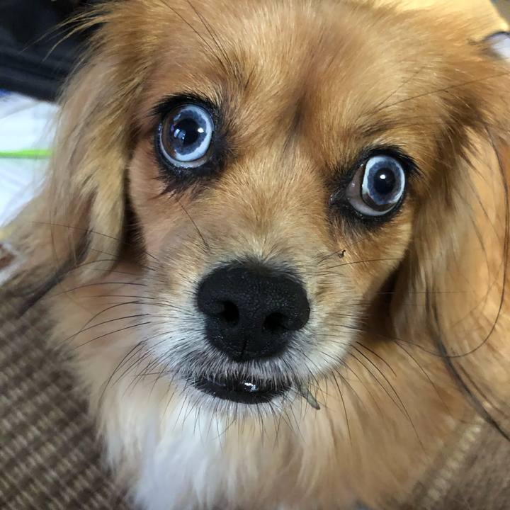 7620c092 9f2d 4411 8bc4 ab003e0c4827 1570485677126