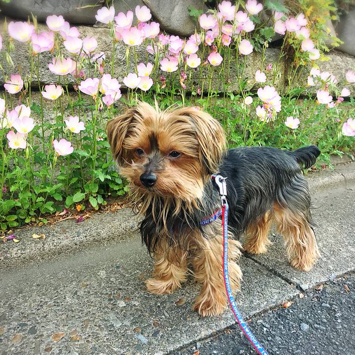 762120fa c1ae 49cf bfd7 d104eb94dab9 1524865568222