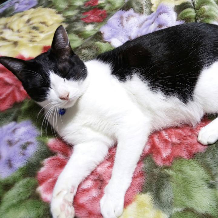 76213093 6c74 4adf 9bae a343c524c05c 1509792899360