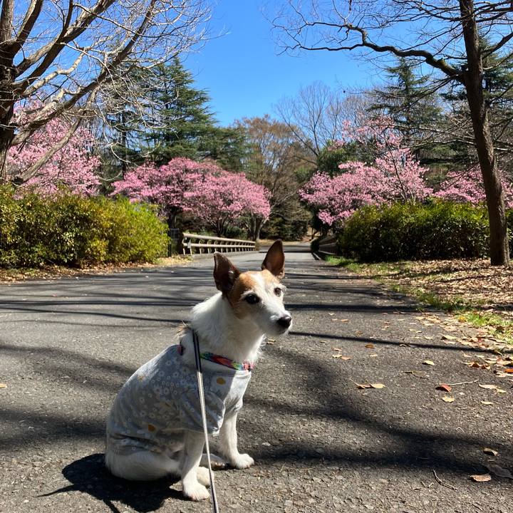 762130fd 5b41 4510 b24f 648623a58805 1679268799302